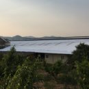 종환목장 이미지