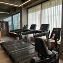 메꿀다이어트GYM | 망포동 헬스장 찾다가 방문한 메꿀다이어트짐 피트니스 PT 망포점 운동 시작하기 딱 좋았어요 !
