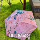 갑-190 | 초경량 미니 양산 실물갑 양우산 핑크 후기