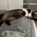 화운로L 이미지