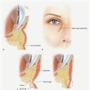 루아크성형외과의원 이미지