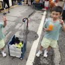 스콘단단씨