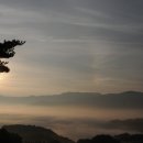 장수송학골로 이미지