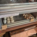 타조사육장 | 경남 고성 데이트 공룡타조랜드 내돈내산 후기