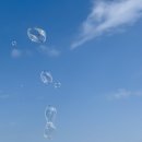 이마트24지웰점 | 10月 20-26日