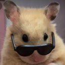 토요일 해피베베 12-18개월 | ✈다낭 2박 3일 여행 일정 짜기(둘째날:다낭→호이안, 블루기프트스파, 소원배, 우베베, 콩카페, 톰도)