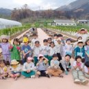 영덕군농업기술센터 이미지