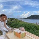 다랑아래 티스토리