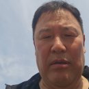 괴산 100년송 소나무상황버섯 만남(2026년3월23일)/사유지허가채취 이미지