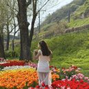 자전거쉼터화장실 | 서울 튤립 명소 응봉 용비쉼터정원 한강 공원 실시간 4.15 방문