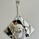 까페모먼트 이미지