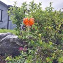 큰어리골 쉼터 이미지