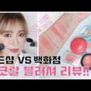 2천원 로드샵 블러셔 VS 백화점 블러셔 리뷰 (쿨웜톤 상관없는 코랄핑크 블러셔)