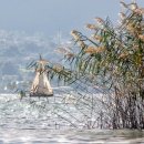 청림동-7 이미지