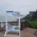 ㈜한빛투어 이미지