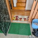 하늘가든 | 영종도 하늘 가든 방문 후기 – 백숙과 능이 한방요리의 진수!(내 돈 내산)