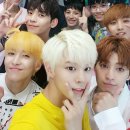 방일 Daum카페
