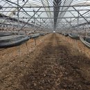 해찬농장 이미지