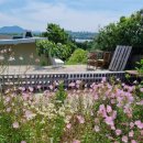 저지안트레 이미지