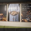 산호동244 이미지