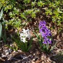 지리산산장민박 이미지