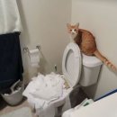 홍문외과의원 | [순천시] 연합홍문외과의원 치질 치핵 수술 후기 리뷰 모음