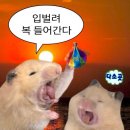 1월