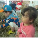 일우농장 이미지