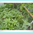 재선농장 이미지