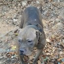 이암농장 이미지