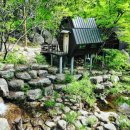 구재봉자연휴양림 이미지