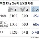 현대육류