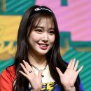 포토조아 이미지