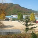 죽장초등학교 이미지