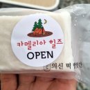 진도 카멜리아 힐즈 오토캠핑장 이미지