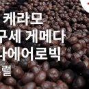 그린에어로빅 이미지