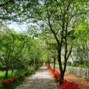 유엔아이 어린이집 놀이터 이미지