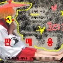 호타루 Daum카페