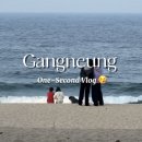 강릉환경산업 | [콘텐츠제작] 강릉 1초 브이로그 - 인스타/릴스 영문 콘텐츠 타겟팅 실패사례 스터디 🥲📊