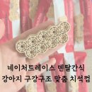 선덴탈 | 네이처트레이스 대형견 개껌 치석제거 덴탈간식
