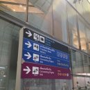 중동059 | 사우디아 승무원 #10 - 라인체크 (실습비행)｜첫 비행｜강릉 브런치 카페 크림하우스｜강릉수제어묵...