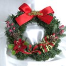 조원동-16 이미지