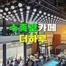 담양황금횟집 이미지