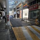 서귀중앙초등학교 이미지