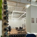 라인엑스피티스튜디오 | 신대방삼거리 피티 더블다운 PT스튜디오에서 운동 정착한 후기💪