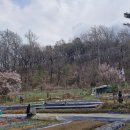 분매(盆梅) 관련 한시 2수 : 이명한 영분매(李明漢 詠盆梅), 홍주화 분매(洪胄華 盆梅)