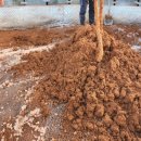 좋은한증막 이미지