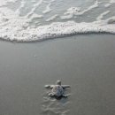 지혜의 소나기 이미지