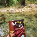 보배진푸드