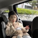 족발야시장 속초교동점 | 고성 2박3일 어머님 환갑 기념 가족 여행_①